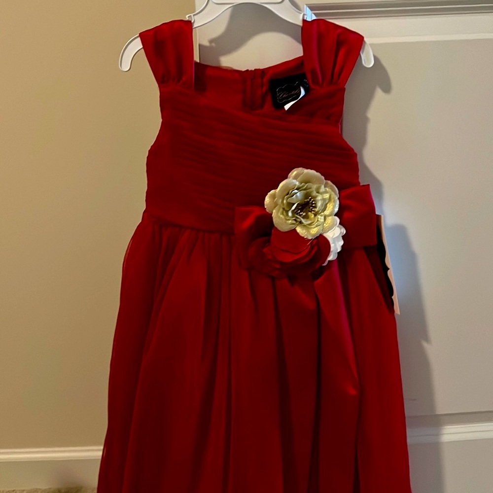 Beautiful holiday dress